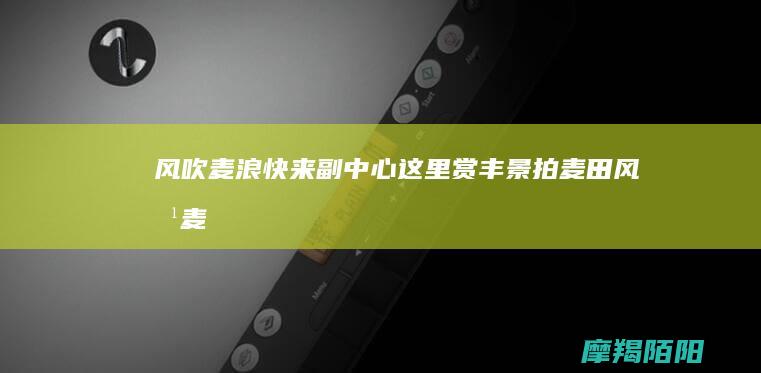 风吹麦浪~快来副中心这里赏丰景拍麦田 (风吹麦浪?)